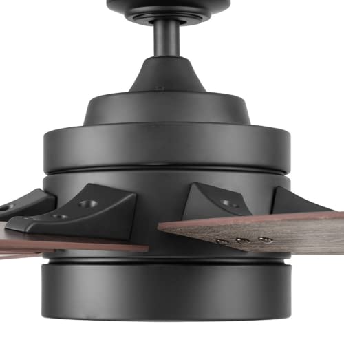 Honeywell Ceiling Fans Xerxes Modern 62 Inch Ceiling Fan with Light, LED Fan with Remote Control, Indoor Fan, 8 Contemporary Blades with Dark Wood and Pine Finish Options, Bronze (51926-01) Honeywell