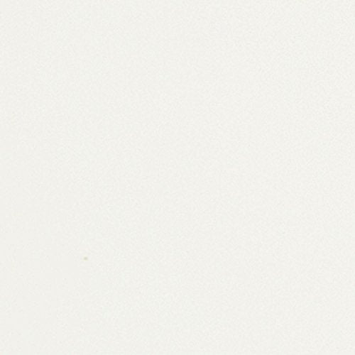 Westinghouse 7802400 Downrod Mount, 5 White Blades Ceiling fan, White 52 Inch Westinghouse