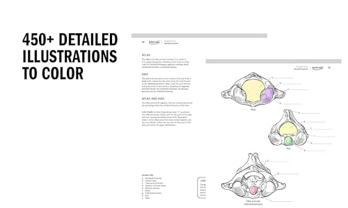 Anatomy Coloring Book with 450+ Realistic Medical Illustrations with Quizzes for Each (Kaplan Test Prep) WoodArtSupply