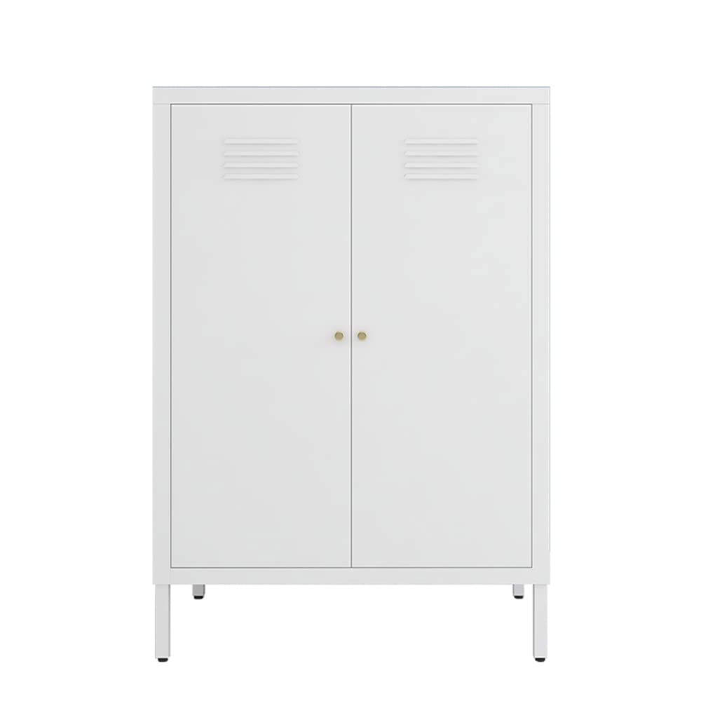 LINGZOE 2 Door Metal Locker Storage Cabinet with 2 Adjustable Shelves,Steel Locker Cupboard for Bedroom, Bedside, Office Room LINGZOE