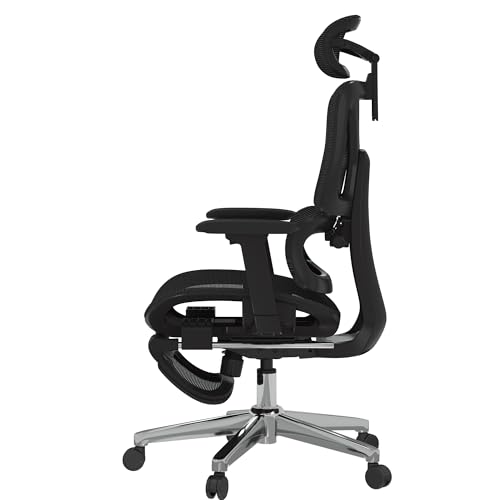 FLEXISPOT ErgoX Premium Ergonomic Office Chair with Footrest- Adjustable 3D Armrests, Dynamic Lumbar Support, Recline & Tilt Function, Mesh Seat, for Home & Office Use,Black FLEXISPOT
