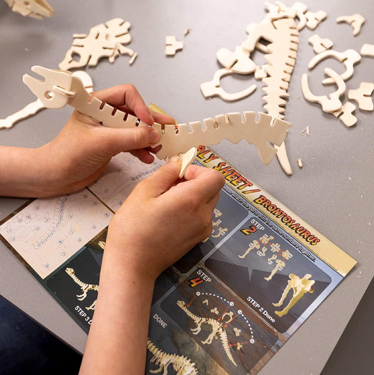 3D Wooden Dinosaur Puzzle Kit - Build 6 Unique Dino Models for Kids WoodArtSupply