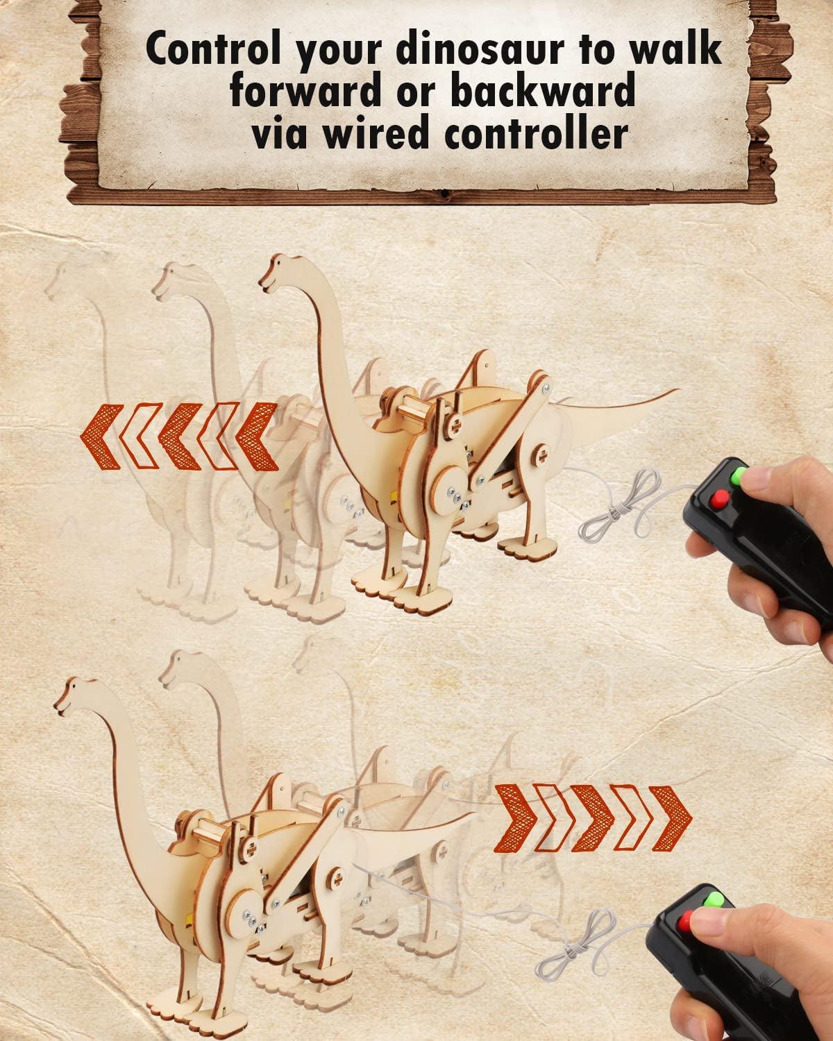 4 Pack Dinosaur Toys for Kids, STEM Kit, Boys Toys Age 8-10 Years Old, Assembly 3D Wooden Puzzle, DIY Educational Science Building WoodArtSupply