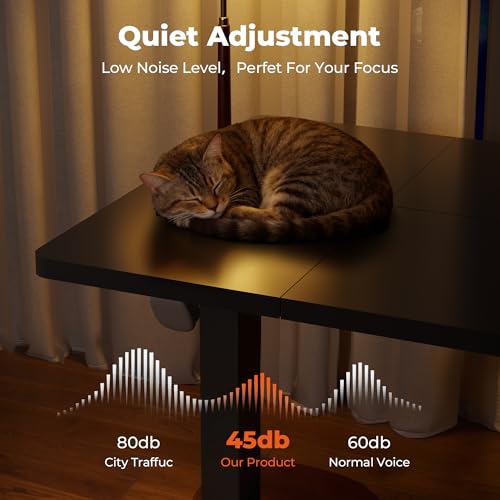 FitStand Adjustable Standing Desk, Large 79x31 Inches Standing Desk with Cable Management, Home Office Computer Desk with Memory Preset & Charging USB Port & Sedentary Reminder FitStand