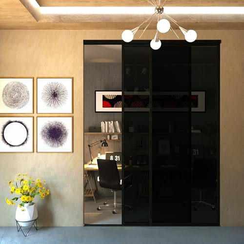 Doors55 Glass Room Divider and Sliding Glass Closet Doors - Smoked Frosted Partition Wall - Clear, Smoked and Frosted Glass Sliding Doors Options (Smoked Glass, 60x80) Doors55