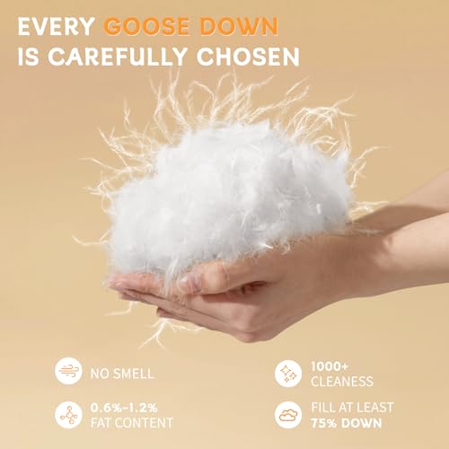 Shilucheng Goose Down Comforter Queen Size, 850+ Fill Power All Season Duvet Insert with 600TC Ultra-Soft Cotton Cover, 3D Baffle Box Design for Maximum Fluffiness (White,90x90 Inches) Shilucheng