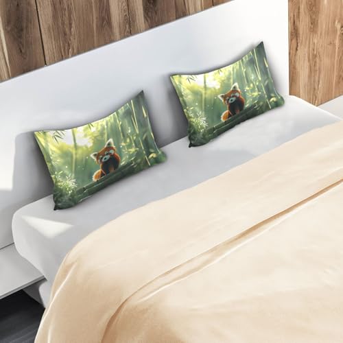 Bokkoy Soft and Silky Satin Pillow Case with Red Panda Watching Wrinkle Resistance for Standard, Queen, and King Sizes - Single Pack Sales Bokkoy