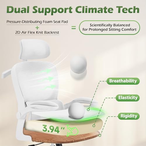 AreShark Office Chair Ergonomic Desk Chairs with Adjustable Lumbar Support& Headrest Hanger, High Back Breathable Mesh Chair with Wheels, Rolling Swivel Comfy Task Computer Chair for Home Work Gaming AreShark