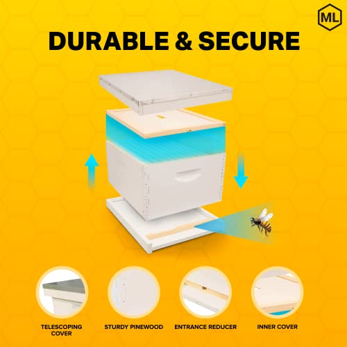 Mann Lake Complete Bee Hive Kit, Fully Assembled Beginner-Friendly Bee Hive Starter Set with Hive Body & 10 Frames Mann Lake