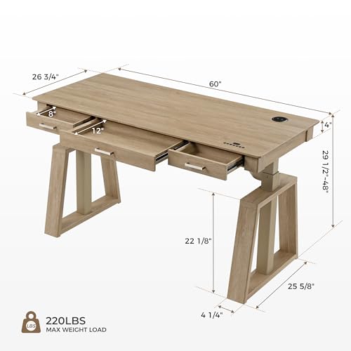 EUREKA ERGONOMIC Standing Desk,60x26 Executive Desk with 3 Drawer Adjustable Height Electric Desk Home Office Computer Desk Modern Workstation with Memory Controller EUREKA ERGONOMIC