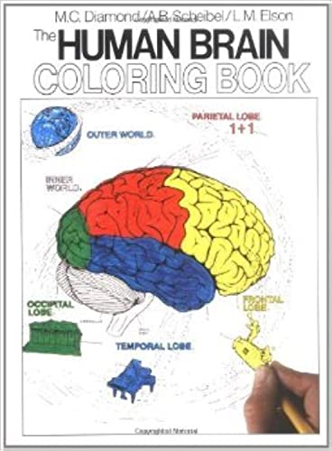 The Human Brain Coloring Book: A Coloring Book (Coloring Concepts) Collins Reference