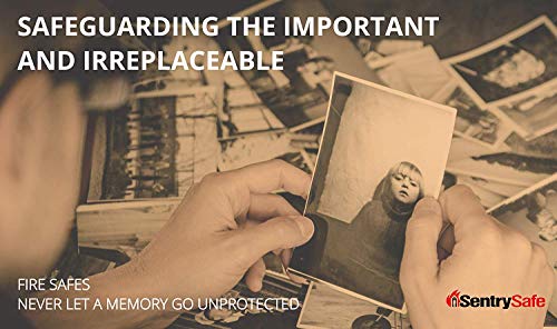 SentrySafe Black Fireproof and Waterproof Safe, File Folder and Document Box with Key Lock, Ex. 14.3 x 15.5 x 13.5 inches, HD4100 SentrySafe