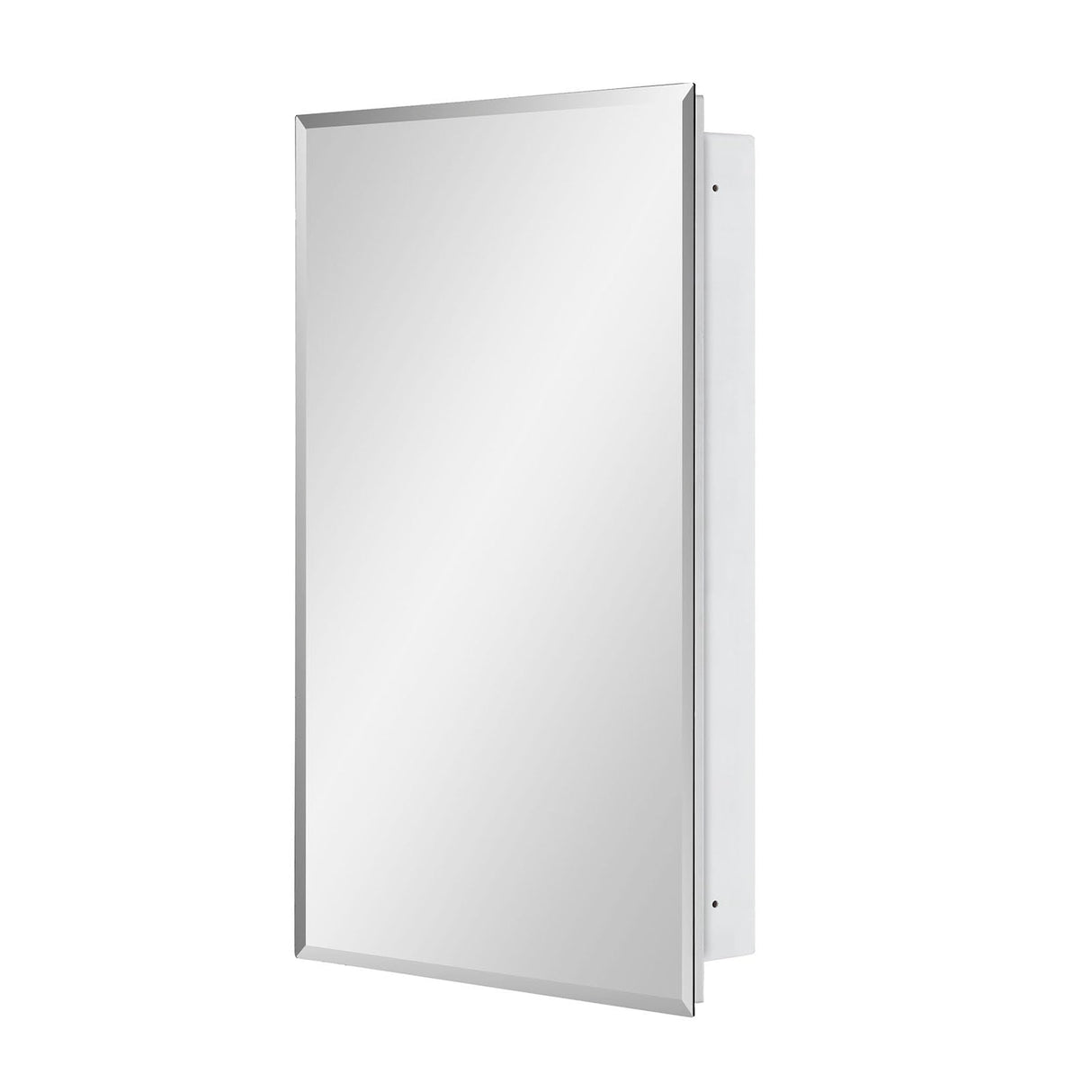 IDYLLOR Plastic Medicine Mirror Cabinet for Bathroom 16 x 26 inch, Surface and Recessed Mount IDYLLOR