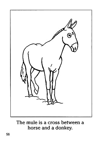 Farm Animals Coloring Book (Dover Little Activity Books: Animals) Dover Publications