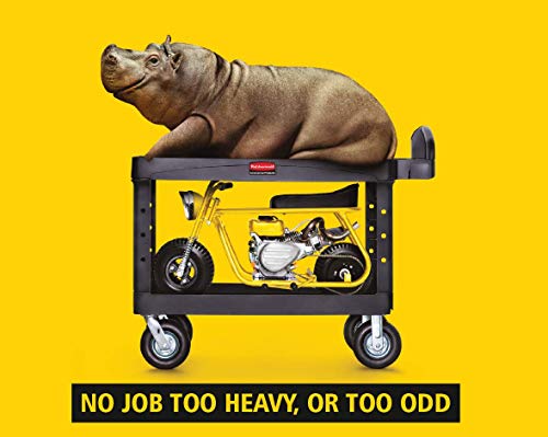 Rubbermaid Commercial Products 2-Shelf Utility/Service Cart, Medium, Lipped Shelves, Standard Handle, 500 lbs. Capacity, for Rubbermaid Commercial Products