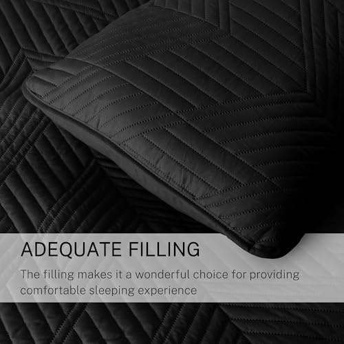 Exclusivo Mezcla Ultrasonic Full Queen Quilt Bedding Set, Lightweight Black Bedspreads Soft Modern Geometric Coverlet Set for All Seasons (1 Quilt and 2 Pillow Shams) Exclusivo Mezcla