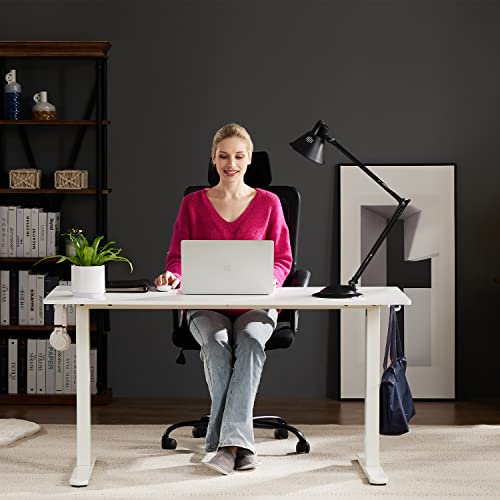 SMUG Standing Desk, 48 x 24 in Electric Height Adjustable Computer Desk for Home Office, Sit Stand up Work Gaming Table with Memory Controller/Headphone Hook, Rising Lift Workstation-White SMUG