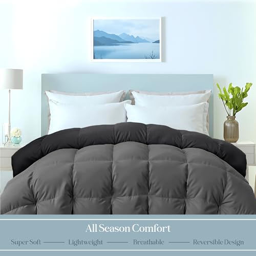 ROYALE LINENS Reversible Comforter - Twin XL Duvet Insert - All Season Soft Quilted Comforters with 8 Corner Tabs - Down Alternative Bedding Comforter - Duvet Insert (Black/Charcoal, Twin XL 68"x92") ROYALE LINENS