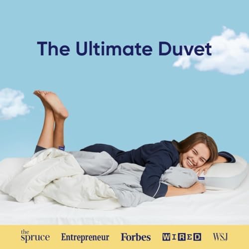 Vesta All-Season Silk Comforter, Quilt and Duvet Insert for Hot Sleepers, 100% Silk Fill with 100% Cotton Shell, Luxuriously Soft, Moisture-Wicking (All-Season, Grey, Twin/Twin XL) Vesta