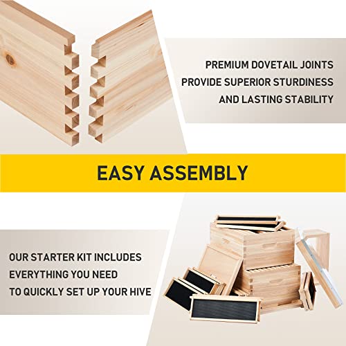 CREWORKS Bee Hive with 10 Medium &20 Deep Honeycomb Foundation Frames, Bee Box for Beekeeper Starter, Beekeeping Supplies Equipment Tool, Wood Complete Honey Bee Hives Kit, 3 Layer Bees House Box CREWORKS