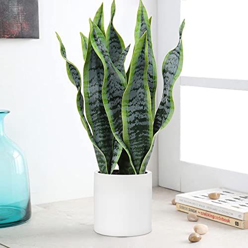 Hollyone Artificial Snake Plant Potted with Solid Wood Plant Stand, 19" Faux Sansevieria Tropical White Ceramic Pots Fake Plants for Home Office Indoor Decor Housewarming Gift Hollyone