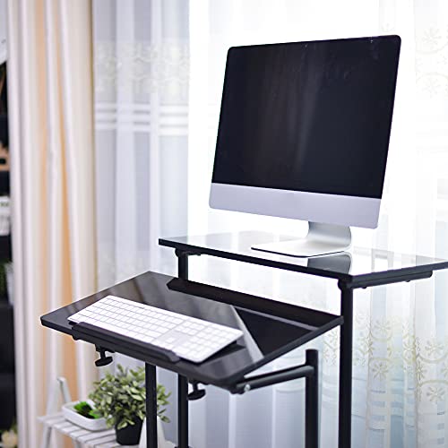 DlandHome Mobile Standing Desk Stand Up Desk Rolling Desk, Stand Sit Desk Mobile Computer Desk Adjustable Standing Desk 23.6inches Table Workstation Mobile Desk Cart Tray Black DlandHome