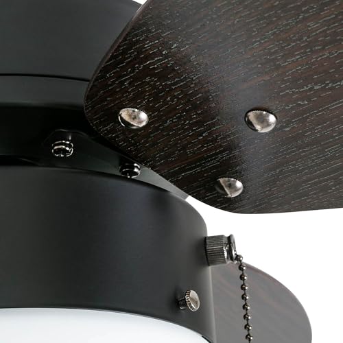 Honeywell Ceiling Fans Ocean Breeze Modern 30 Inch Ceiling Fan with Light, Pull Chain LED Indoor Fan with 3 Blades, Dark Brown Chestnut and Light Oak Blade Finish Options, Gilded Espresso (50602-01) Honeywell Ceiling Fans