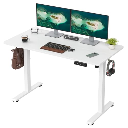 Casaphoria 48 x 24 inches Electric Standing Desk, Sit to Stand Desk with Memory Height Adjustment, Home Office Computer Desk for Writing and Games, White Casaphoria