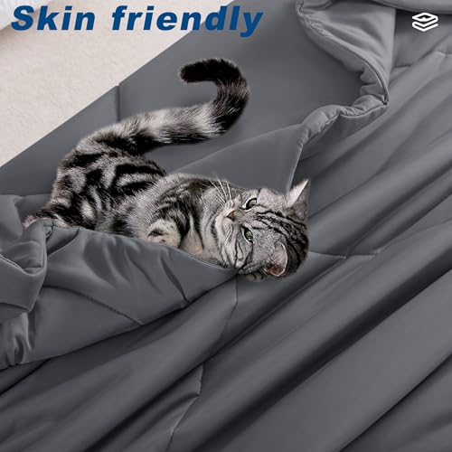 bedsmile Cooling Comforter Queen Size, Double-Sided Cold Tech Fabric Quilted Bed Comforters Cooling Blanket for Hot Sleepers, Breathable Lightweight Summer Bedding, All-Season Ice Blanket, Dark Gray bedsmile