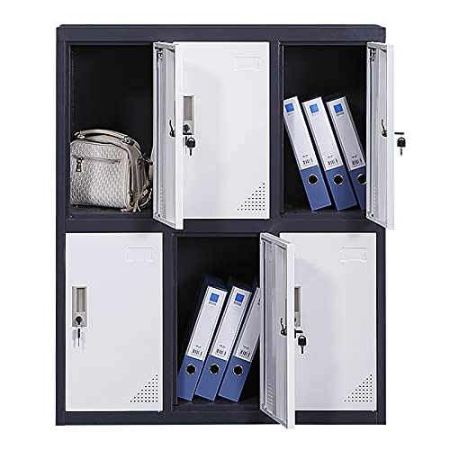 MAYROY Metal Locker Office Storage Locker Home Steel Locker School Storage Organizer, Storage Cabinet for Kids Students Employee (Gray, W6D) MAYROY