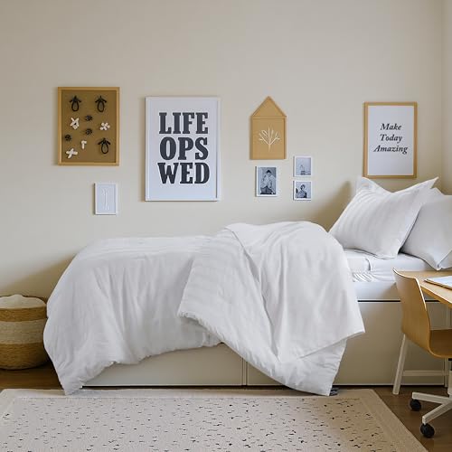 Madison Park Essentials Striped Comforter Set Twin XL, 5 Pieces Modern Minimalist Jacquard Bedding Set for All Season, Bed in A Bag with Sheet Set and Soft Brushed Reverse, Lightweight White Madison Park Essentials