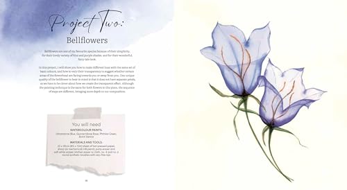 How to Paint Transparent Watercolour Flowers WoodArtSupply