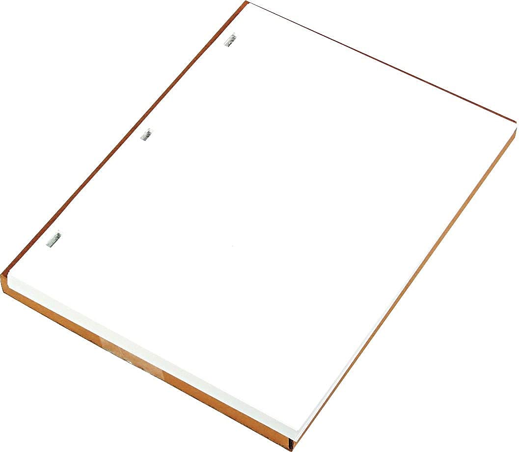 Wilson Jones 90310 Ledger Sheets for Corporation and Minute Book, White, 11 x 8-1/2, 100 Sheets Wilson Jones