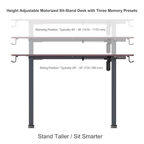 NSY Audio Electric Standing Desk 48x24 Inches - Height Adjustable, Whisper Quiet Motor, Walnut Top & Black Frame for Home Office Gaming, Focused Work, Walnut Brown Generic