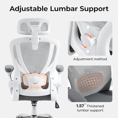 shipborne Office Chair Ergonomic Office Chair with Lumbar Support, Head Support, Rocking Function, FILP-up Armrests, Mesh High Back Chair Home Office Desk Chair, Suitable for Home, Office, Grey shipborne