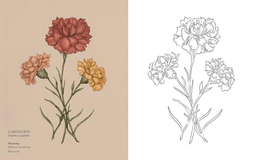 Floriography Coloring Book WoodArtSupply