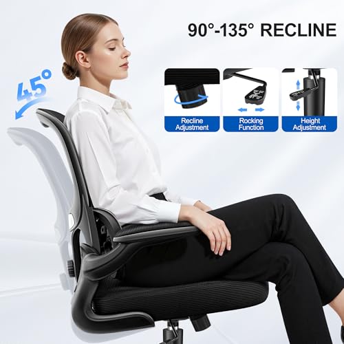 ALLGOD Ergonomic Office Chair, Breathable Mesh Ergonomic Desk Chair with Adjustable Lumbar Support, Flip-up Armrests, Computer Chairs Comfortable for Home, Office, Work, 300lbs, Black ALLGOD