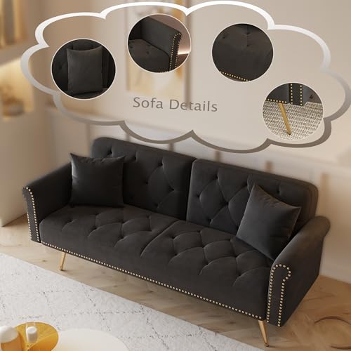 Modern Velvet 2 in 1 Futon Sofa Bed,Convertible Folding Sleeper Bed Couches with 2 Pillows,63" Tufted Recliner Love Seat with Golden Chrome Legs for Living Room Apartment Office (Black) Anwick