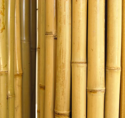 Backyard X-Scapes Natural Bamboo Fencing 6 feet High Outdoor Decorative Rolled Fence Panel 6 ft H x 4 Ft L x 1 in D Backyard X-Scapes