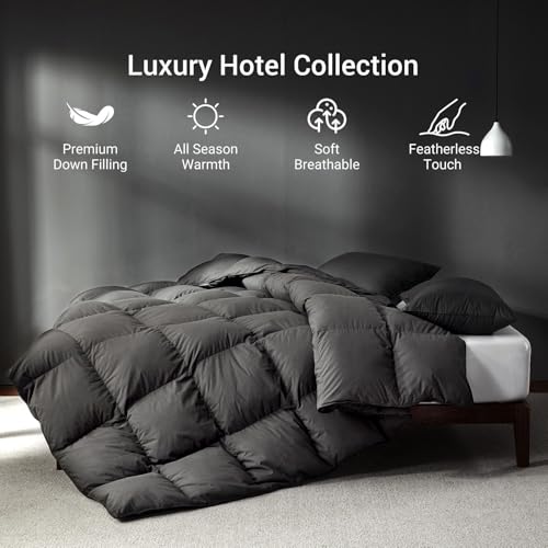 Saisier Grey Goose Feather Down Comforter Queen Size, Premium All Season Duvet Insert, 750+ Fill Power 1200TC Cotton Blend Fabric Hotel Style Comforter, 42 Oz Lightweight (90x90, Dark Grey) Saisier