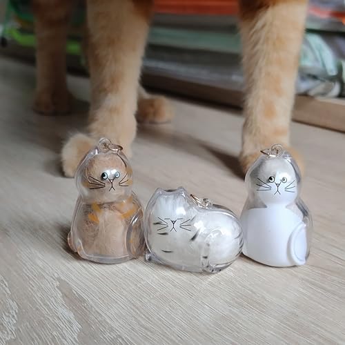 BTYYIHEX 6 Pcs Cat Hair Keepsake Keychains – 2025 New Memorial Capsule Pendants, Fur Holder Bottles for Cat Lovers, Thoughtful Pet Loss or Birthday Gifts
