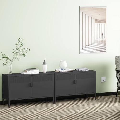 Chshin Metal Storage Cabinet with Doors,Black Accent Cabinet,Metal Locker Storage Cabinets,2 Door TV Media Stand with Removable Shelves for,Home,Office,Entryway,Living Room Chshin