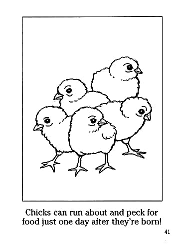 Farm Animals Coloring Book (Dover Little Activity Books: Animals) Dover Publications