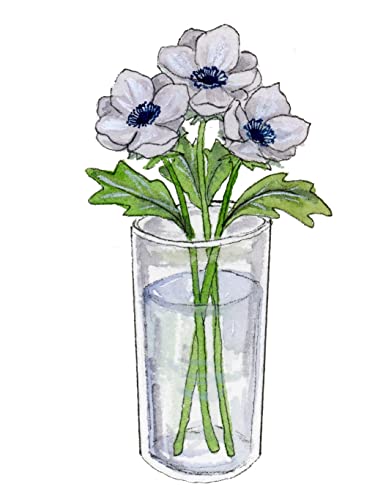 Watercolour Lessons: How to Paint and Unwind in 20 Tutorials (How to paint with watercolours for beginners) WoodArtSupply