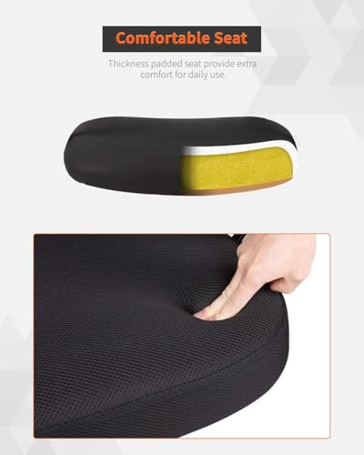 Home Office Chair Ergonomic Desk Chair Mid-Back Mesh Computer Chair Lumbar Support Comfortable Executive Adjustable Rolling Swivel Task Chair with Armrests(Black) FDW