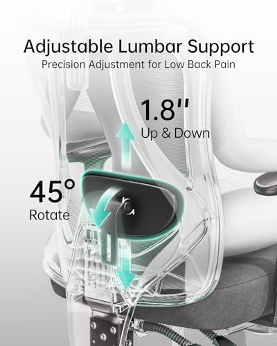 Hbada P3 Ergonnomic Office Chair with 2D Adjustable Lumbar Support, Office Chair with Adjustable Headrest and Armrest, 145ยฐ Stepless Tilt Function, Black(No Footrest) Hbada