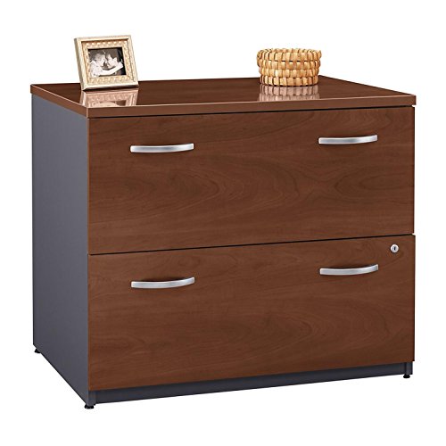 Bush Business Furniture Series C 2 Drawer Lateral File Cabinet, Locking Document Storage for Home or Professional Office, Hansen Cherry Bush Business Furniture