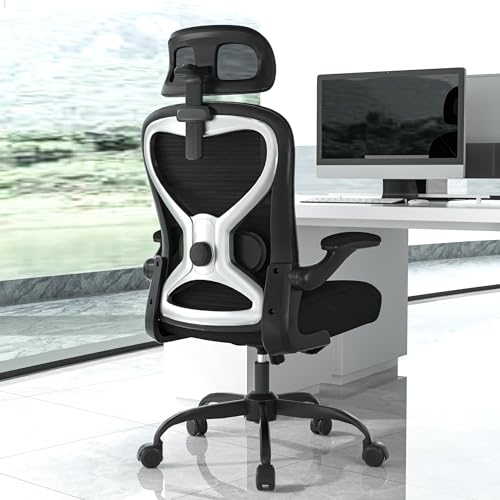 Ergonomic Office Chair, Mesh Desk Chair with Headrest, Lumbar Support, Thick Seat Cushion, Flip-up Arms, High Back Computer Task Chairs for Home Office (English, Black/Silver) CASASIO