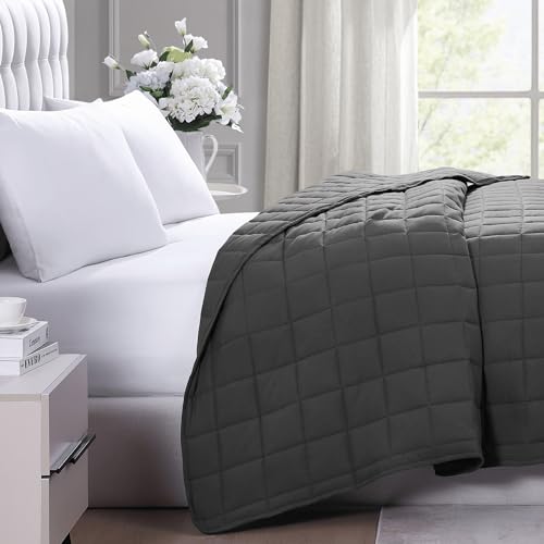 Casa Platino Twin Duvet Insert - Soft Blankets Lightweight Twin Size Bedding, Cooling Pre-Washed - Down Alternative Blanket - Charcoal Casa Platino