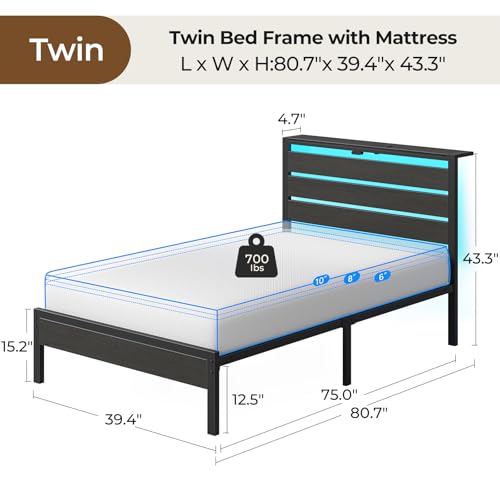Rolanstar Twin Bed Frame with 6 Inch Gel Memory Foam Mattress, LED Metal Platform Bed with USB Charging & Storage Headboard, Black, CertiPUR-US Certified Mattress Rolanstar